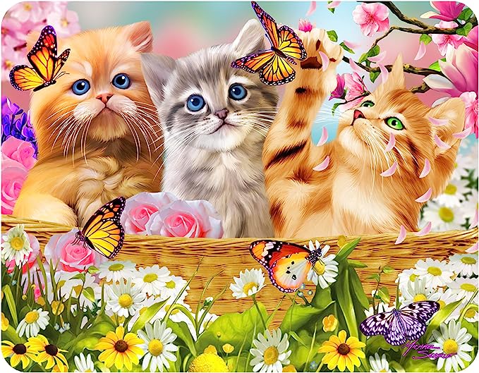 3D LiveLife Magnets - Kitten Fun Time