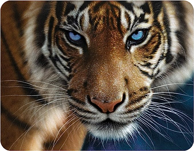 3D LiveLife Magnets - Blue Eyes