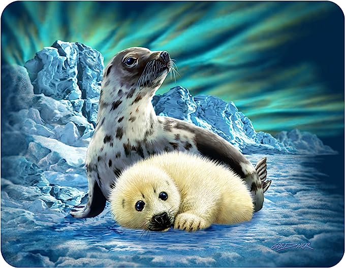 3D LiveLife Magnets - Harp Seals