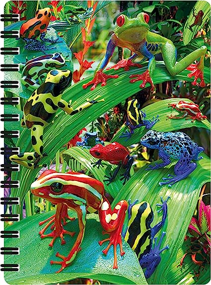 3D LiveLife Jotters - Funky Frogs