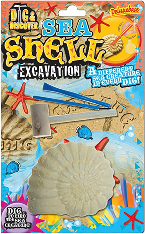 Dig & Discover - Seashell Excavation