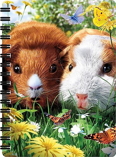 3D LiveLife Jotters - Guinea Pigs