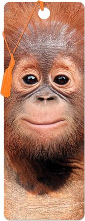 3D LiveLife Bookmarks - Baby Orangutan