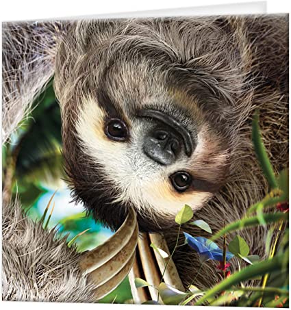 3D LiveLife Greetings Cards - Hangin' Around