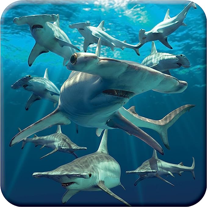 3D LiveLife Coasters - Hammerhead Sharks