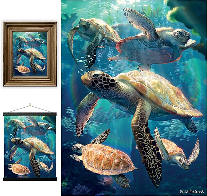 3D LiveLife Pictures - Sea Turtle Swim