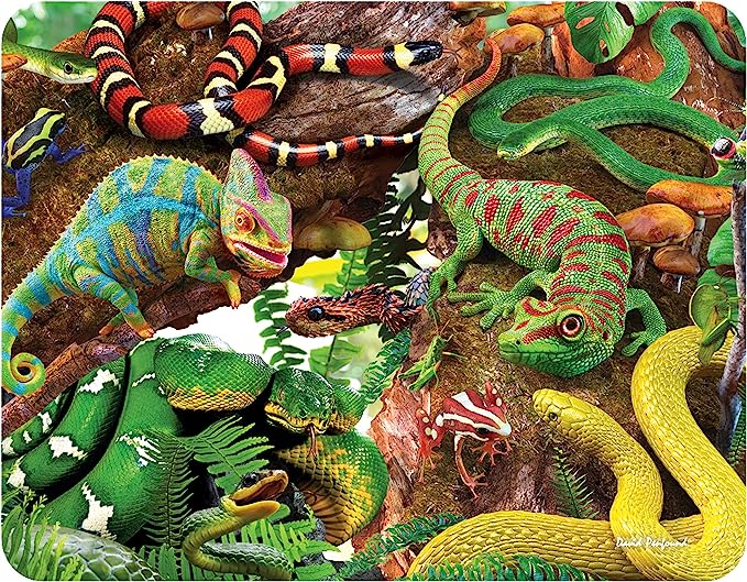 3D LiveLife Magnets - Curious Creatures