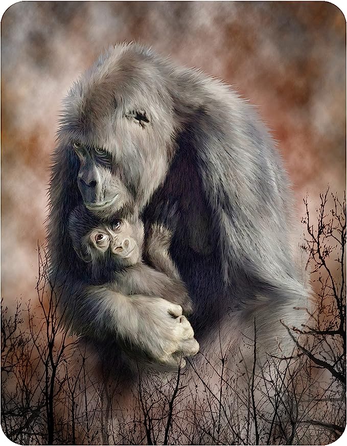 3D LiveLife Magnets - A Love So Grand