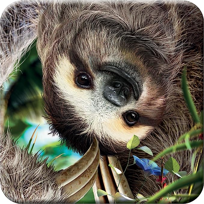 3D LiveLife Coasters - Hangin' Around