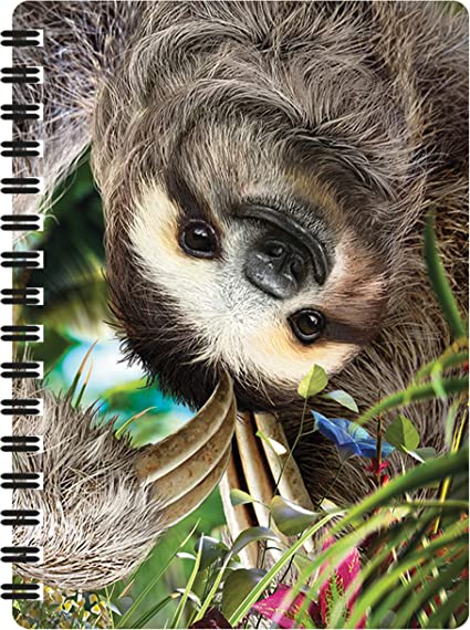 3D LiveLife Jotters - Hangin' Around