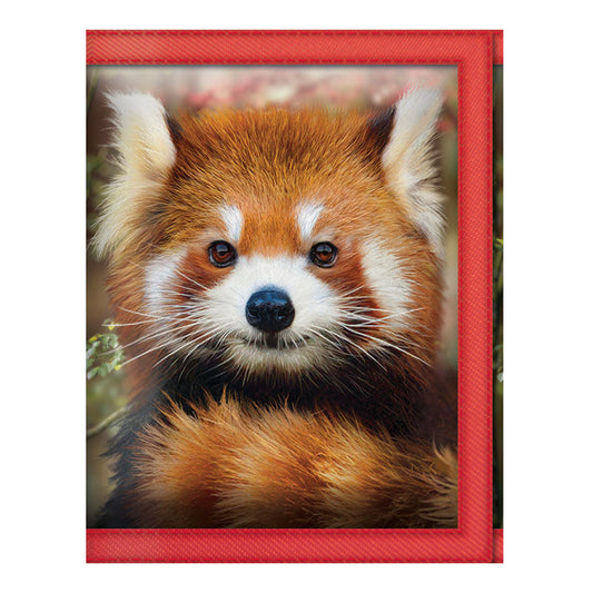 3D LiveLife Wallets - Baby Red Panda