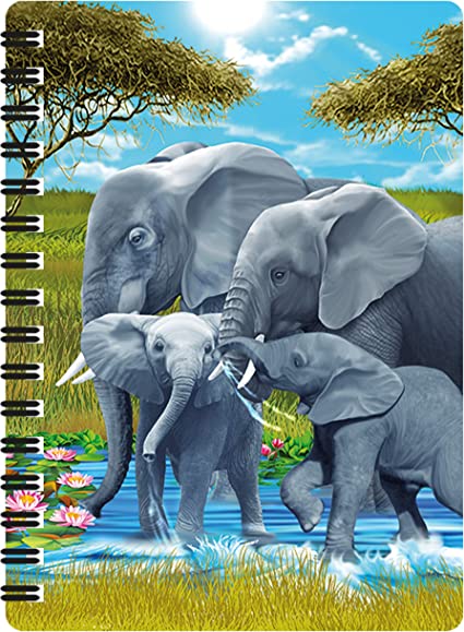 3D LiveLife Jotters - Pachyderm Pals