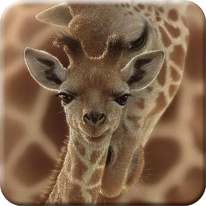 3D LiveLife Coasters - Newborn