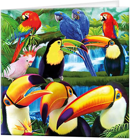 3D LiveLife Greetings Cards - Toucan Paradise