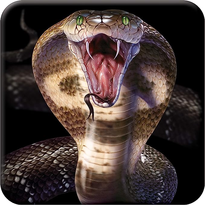 3D LiveLife Coasters - Cobra