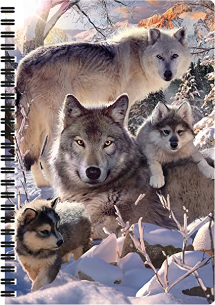 3D LiveLife Notebooks - Winter Wolves