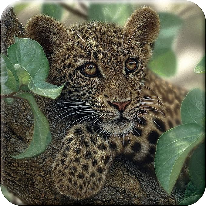 3D LiveLife Coasters - Tree Hugger