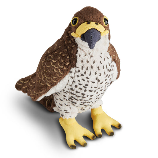 AN559 Peregrine Falcon 20cm