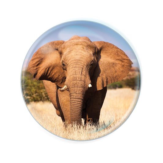 Magnidomes - Elephant
