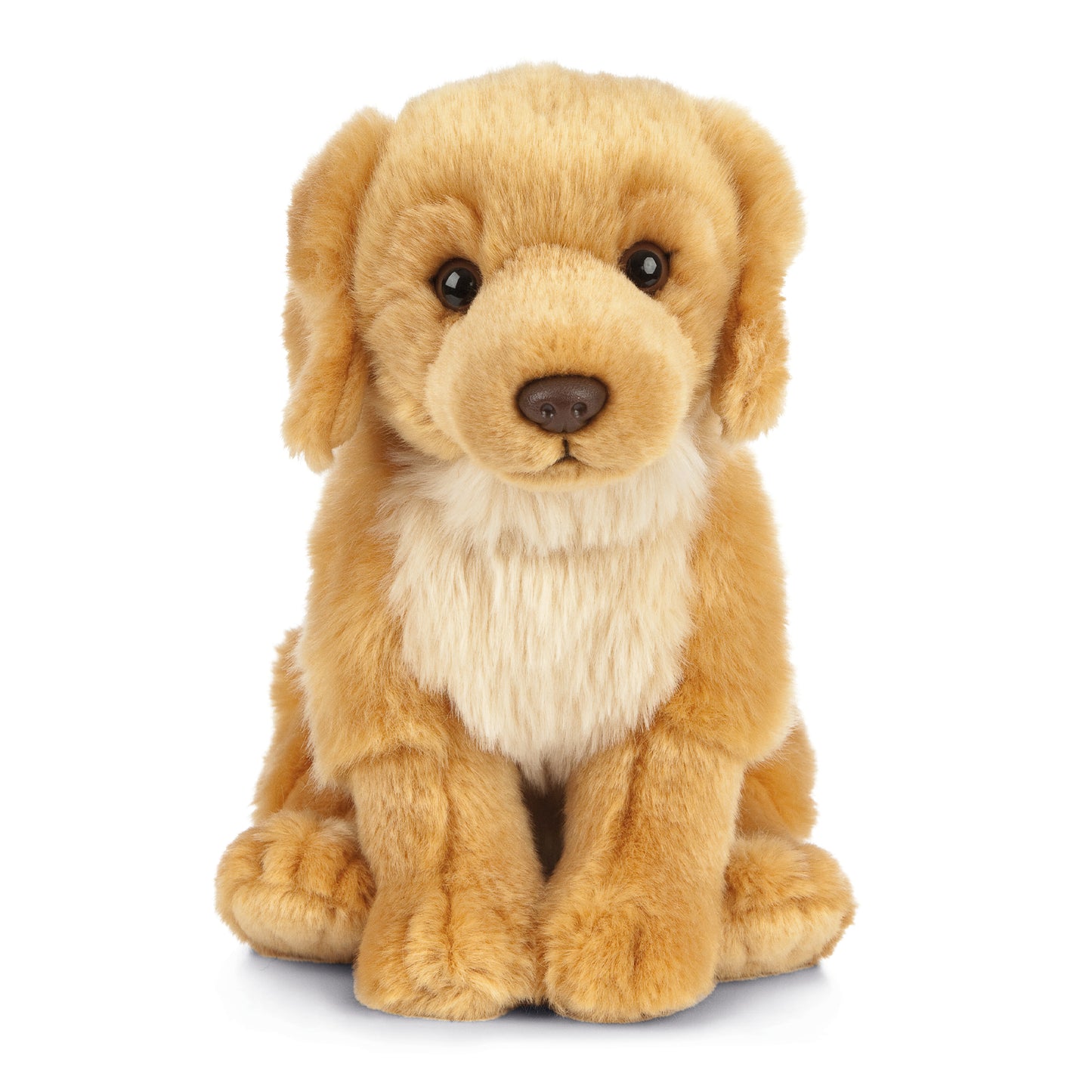 AN459 Golden Retriever 20cm