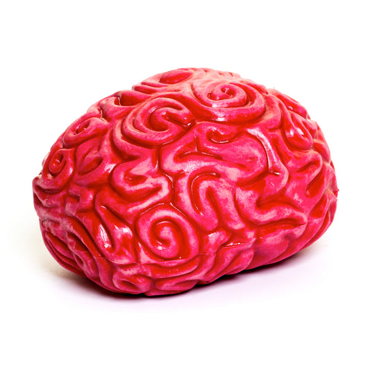 NV459 Squidgy Brain
