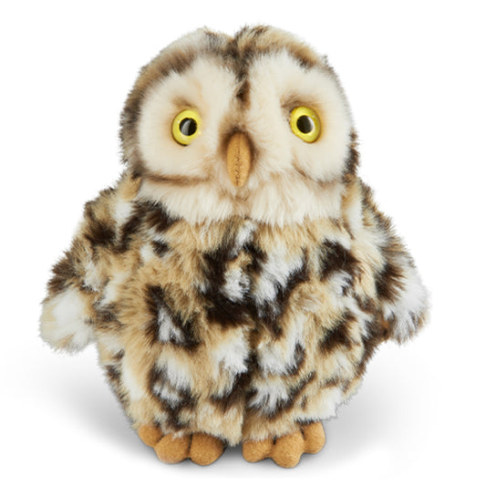 AN528 Little Owl 16cm