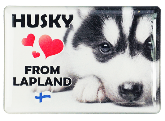 Husky Love Kuvamagneetti FIN LAP