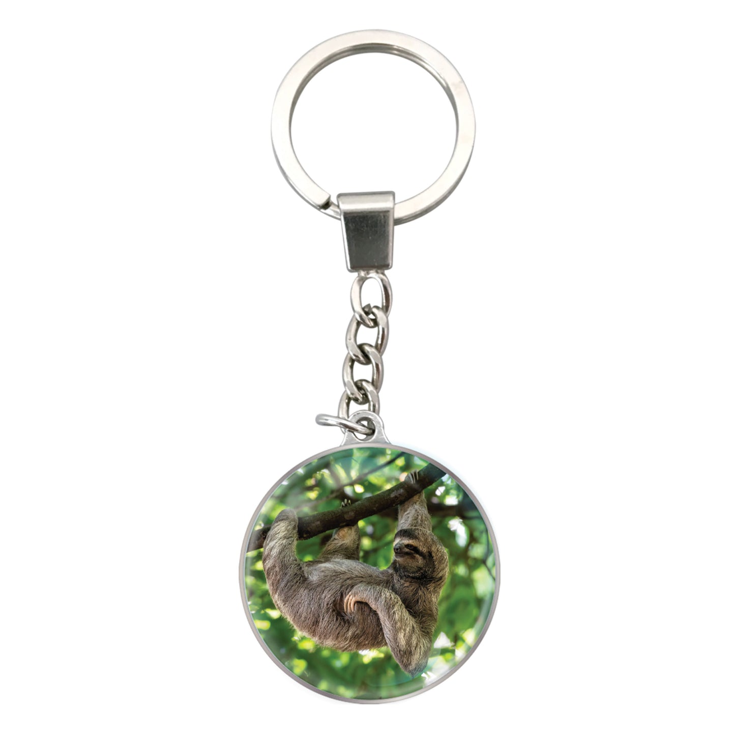Magnidome Keychains - Sloth