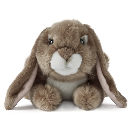 AN40DB Dark Brown Lop Eared Rabbit 24cm