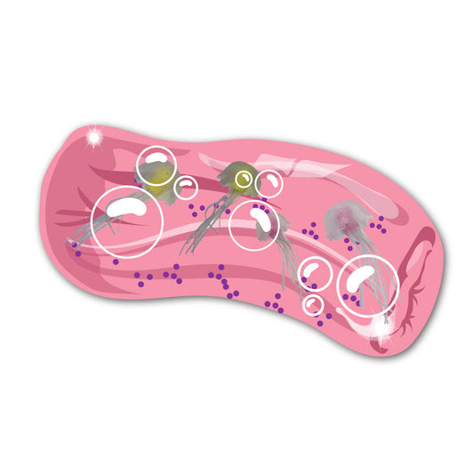 Jumbo Wiggly Jiggly - Jellyfish