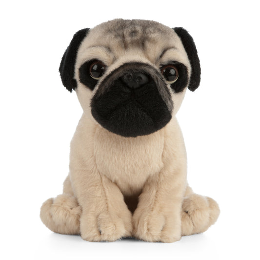 AN439 Pug Puppy 16cm