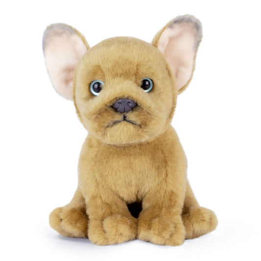 AN778 French Bulldog Puppy Sand