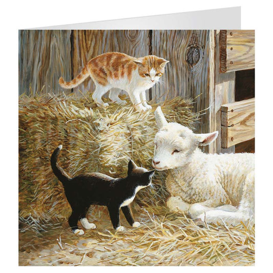 3D LiveLife Greetings Cards - Springtime Kittens