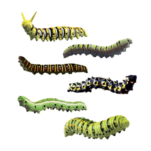 Animix - Caterpillars