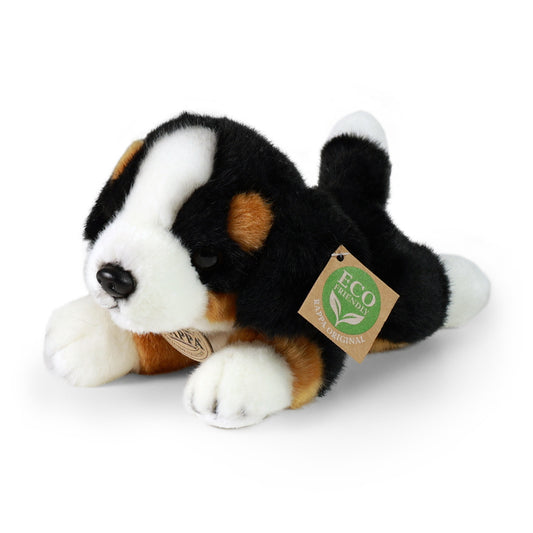 Plush Bernese mountain dog 20 cm