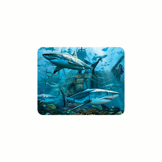 3D LiveLife Magnets - Shark Wreck