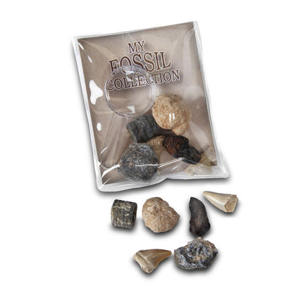 RM80 Fossil Collection with Magnifier