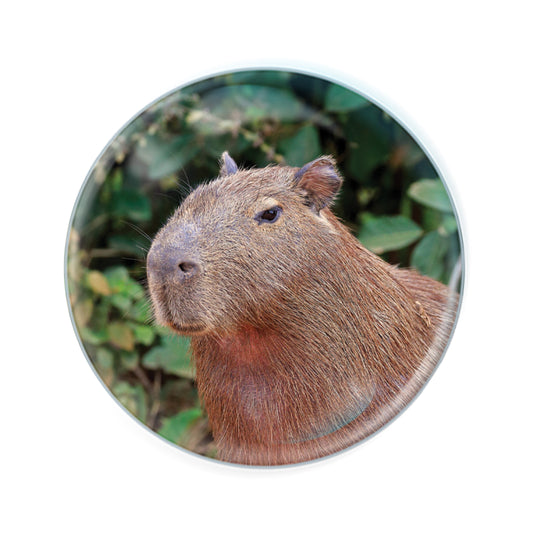 Magnidomes - Capybara