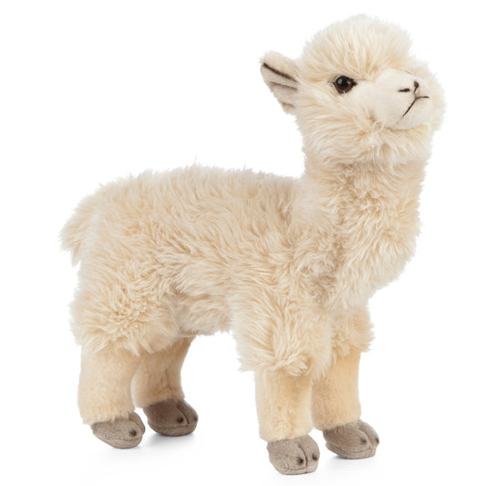 AN469 Alpaca 25cm