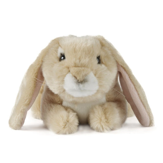 AN40LB Light Brown Lop Eared Rabbit 24cm