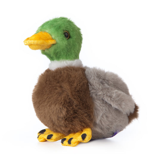 AN514 SMOLS Mallard Duck 15cm