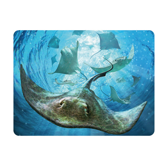 3D LiveLife Postcards - Sting Rays