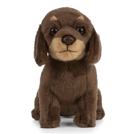 AN446 Dachshund Puppy 16cm