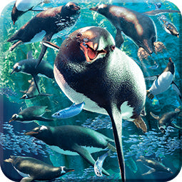 3D LiveLife Coasters - Gentoo Penguins