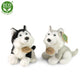 Plush Husky dogs asst. 16cm DISPLAY