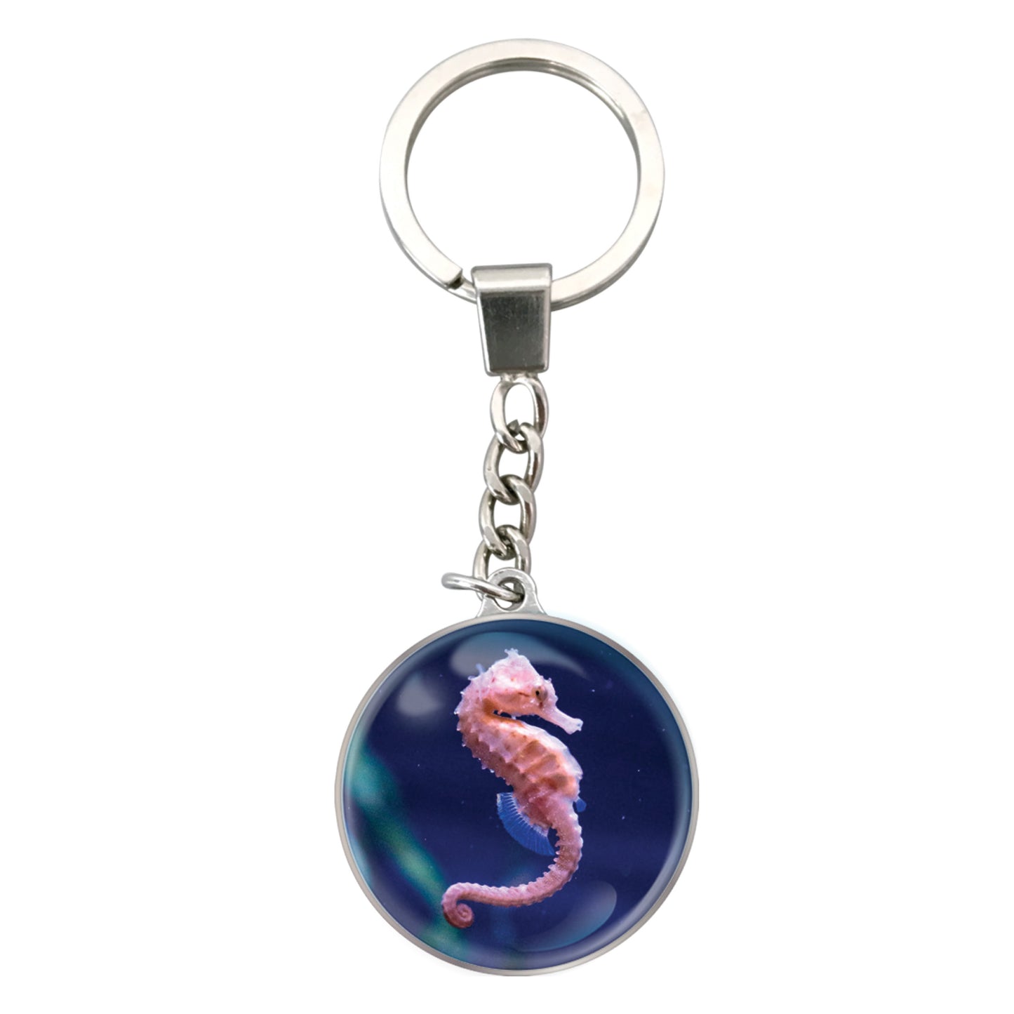 Magnidome Keychains - Seahorse