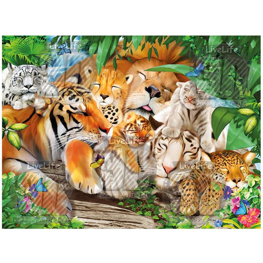 3D LiveLife Pictures - Sleepy Big Cats