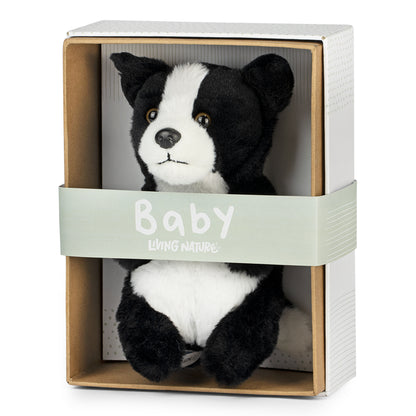 AN754 Border Collie Baby 17cm