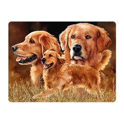 3D LiveLife Postcards - Golden Retriever