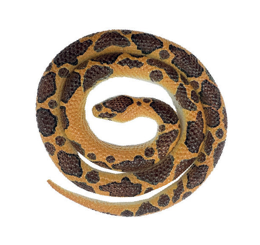 Snakes of the World Small - Burmese Python